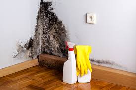 Mold Documentation for Insurance Claims in Morgan Hill, CA